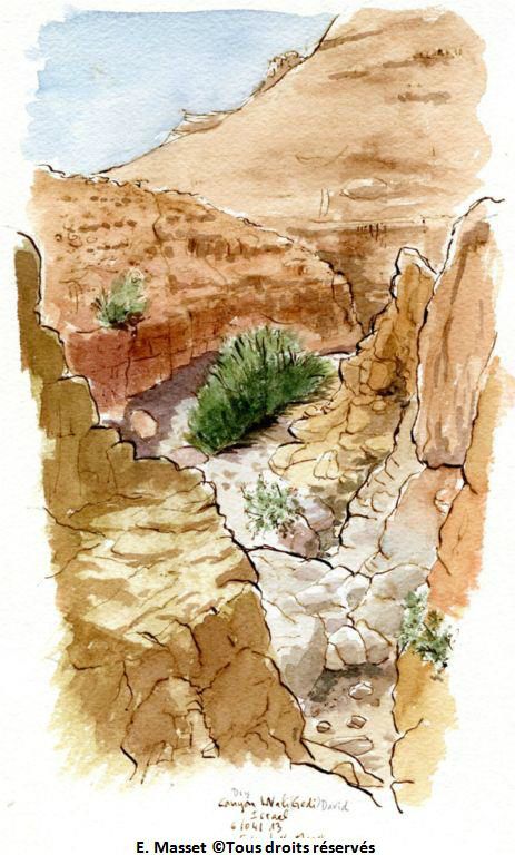 Israel, désert de Neguev / JudéeLe canyon asséché au dessus d'Ein Guedi. Encre et aquarelle. Avril 2013